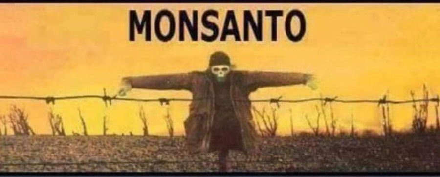 Ciekawe informacje o Roundap i Monsanto